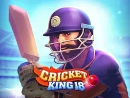 Cricket King 18 screenshot